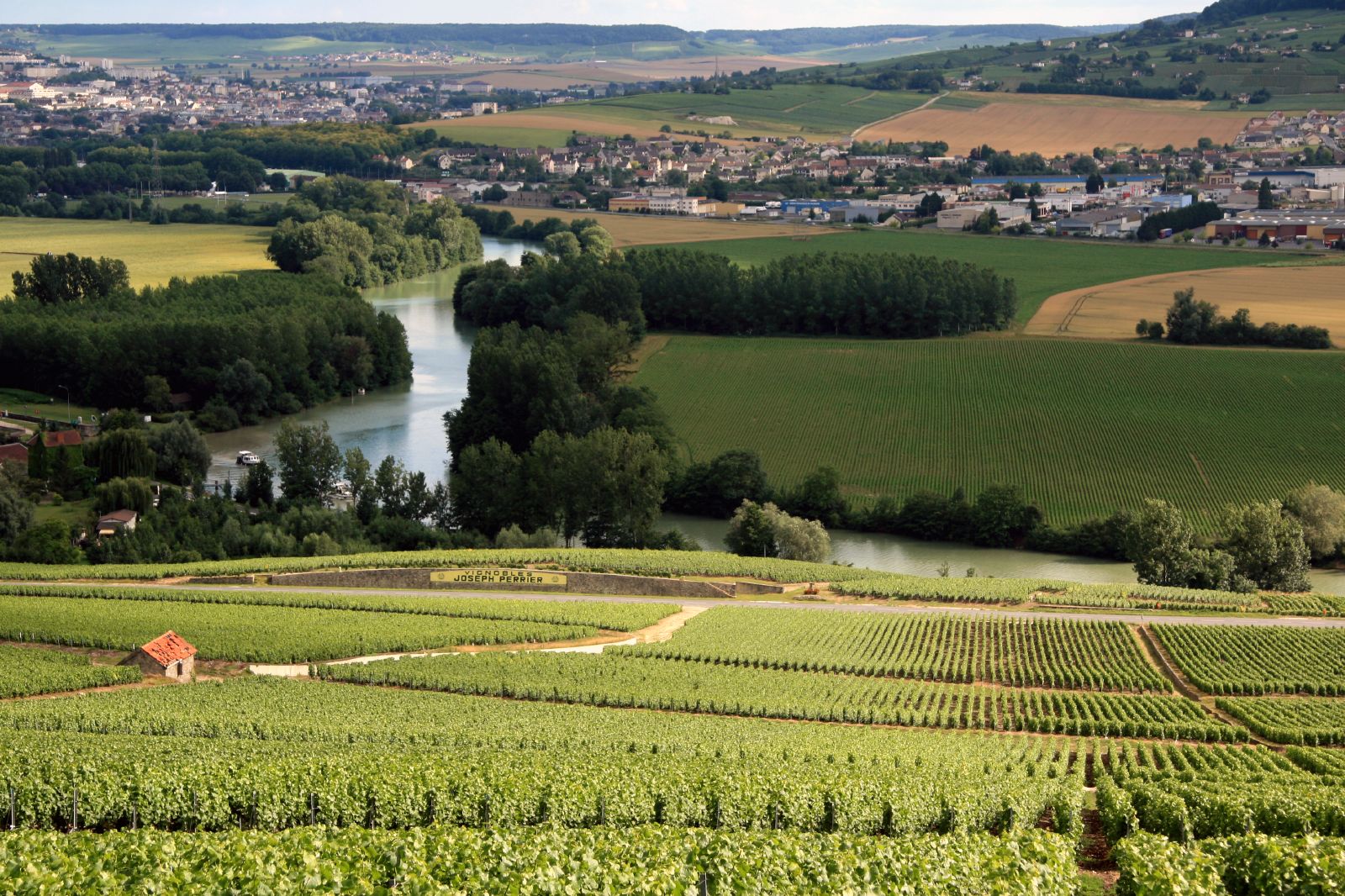 Vinogradi u regiji Šampanj, Francuska