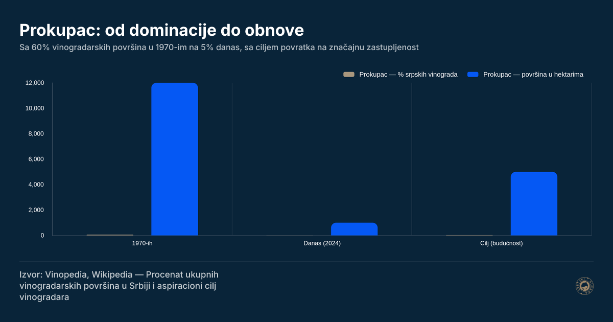 Prokupac: od dominacije do obnove