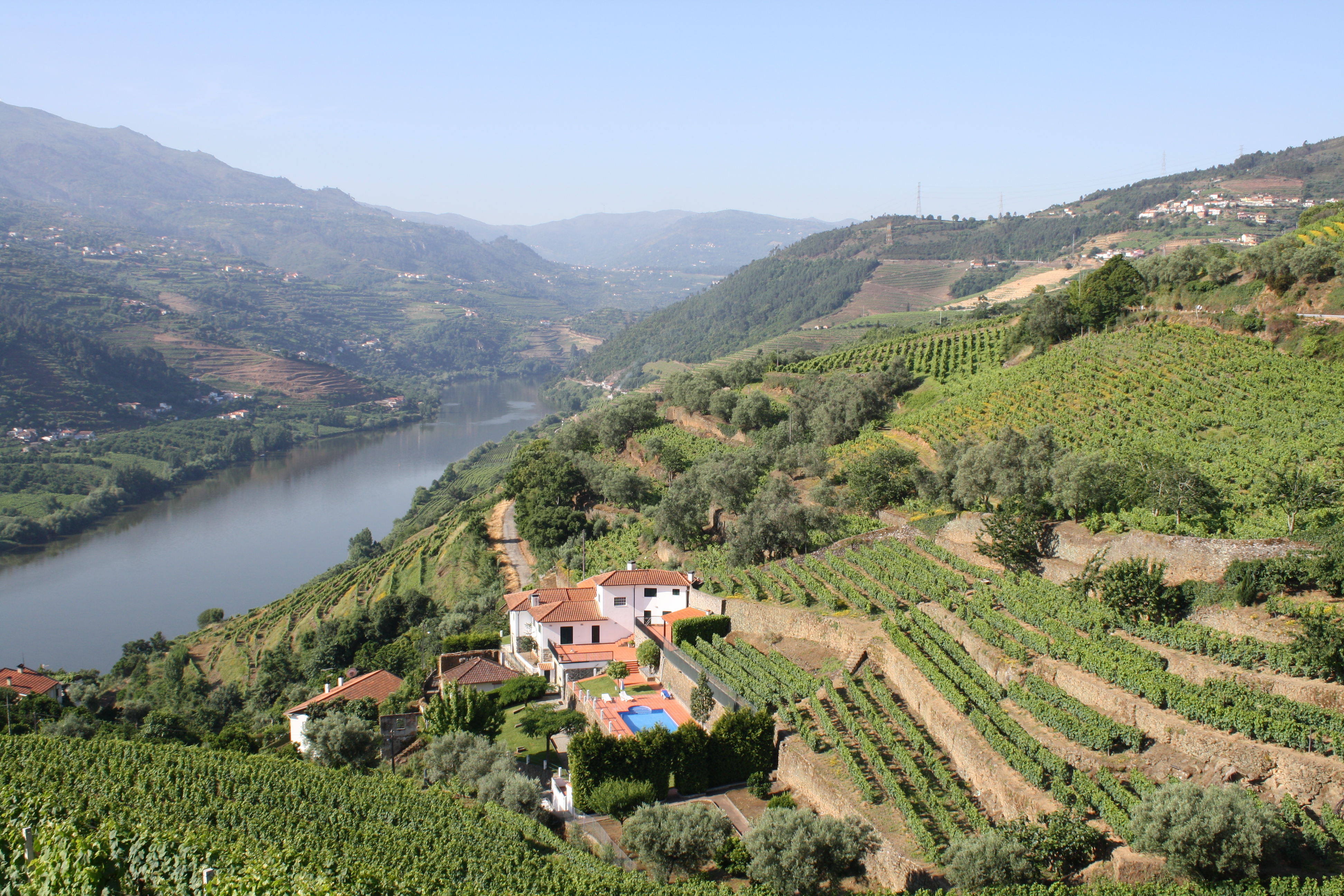 Vinogradi u dolini Douro sa terasastim zasadima na škriljastim obroncima