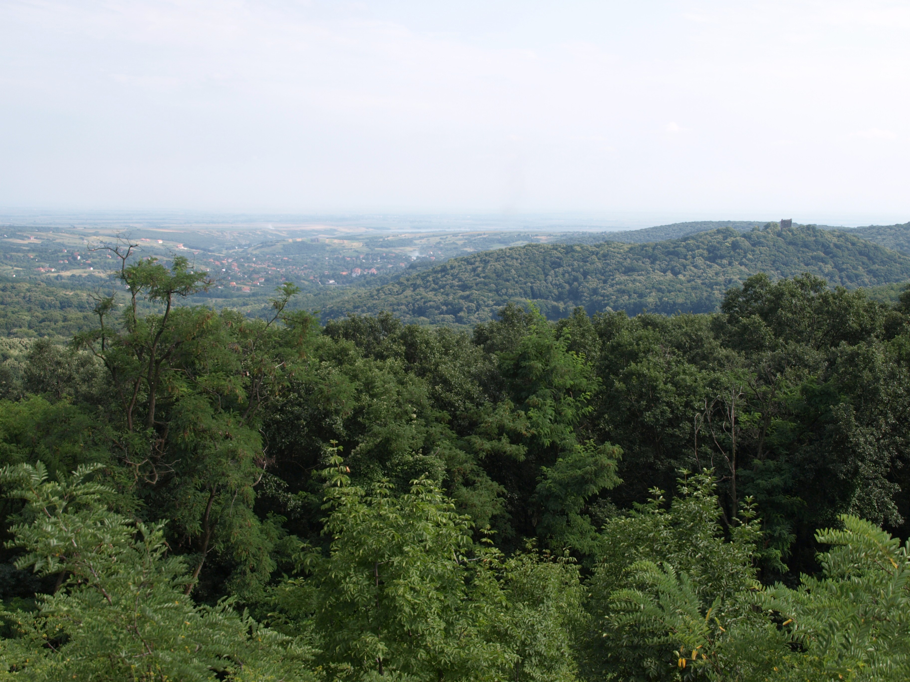 Fruška Gora — srpska vinska regija
