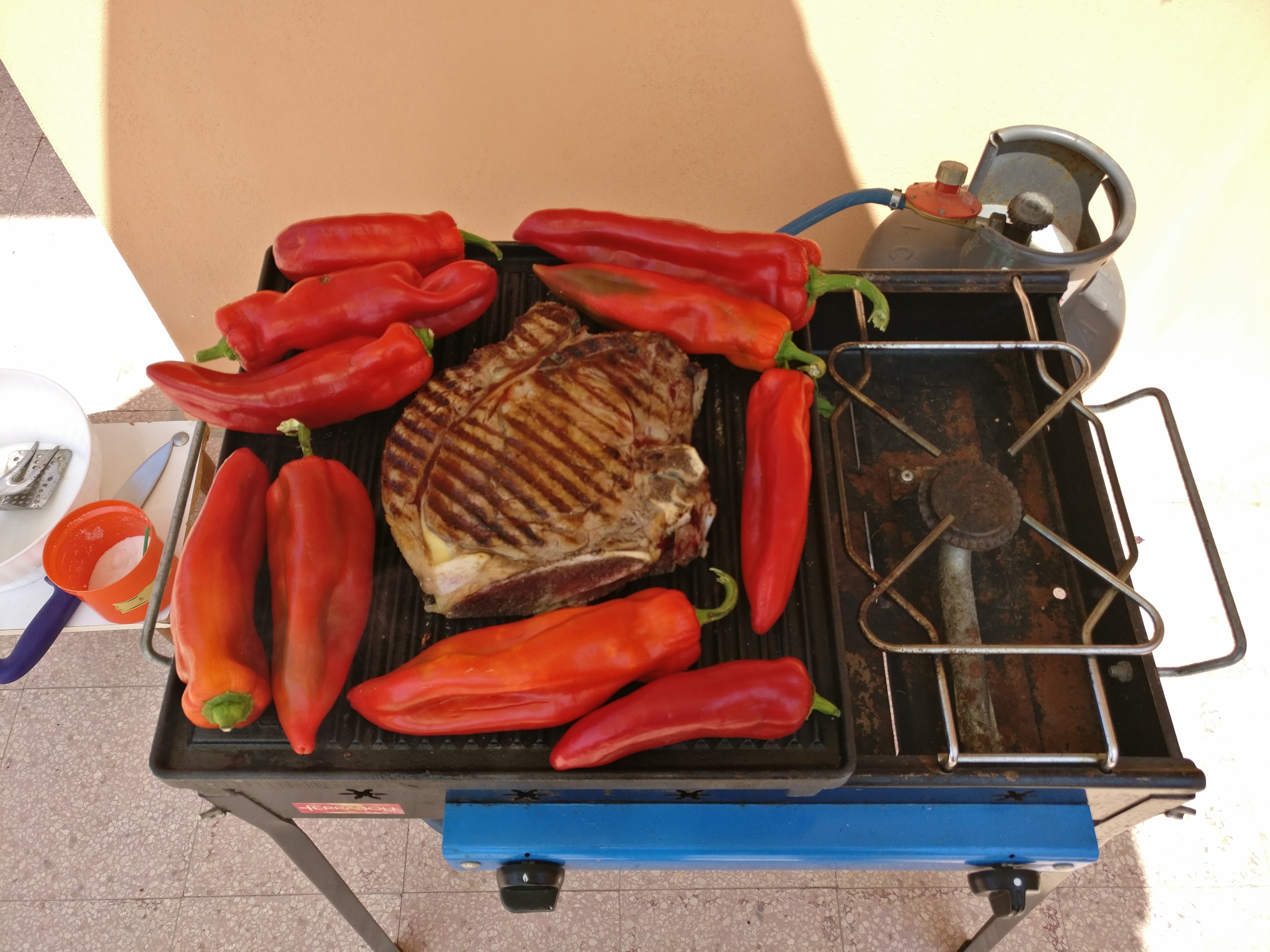 Bistecca alla fiorentina — odrezak sa roštilja, klasičan pratilac Cabernet Sauvignona