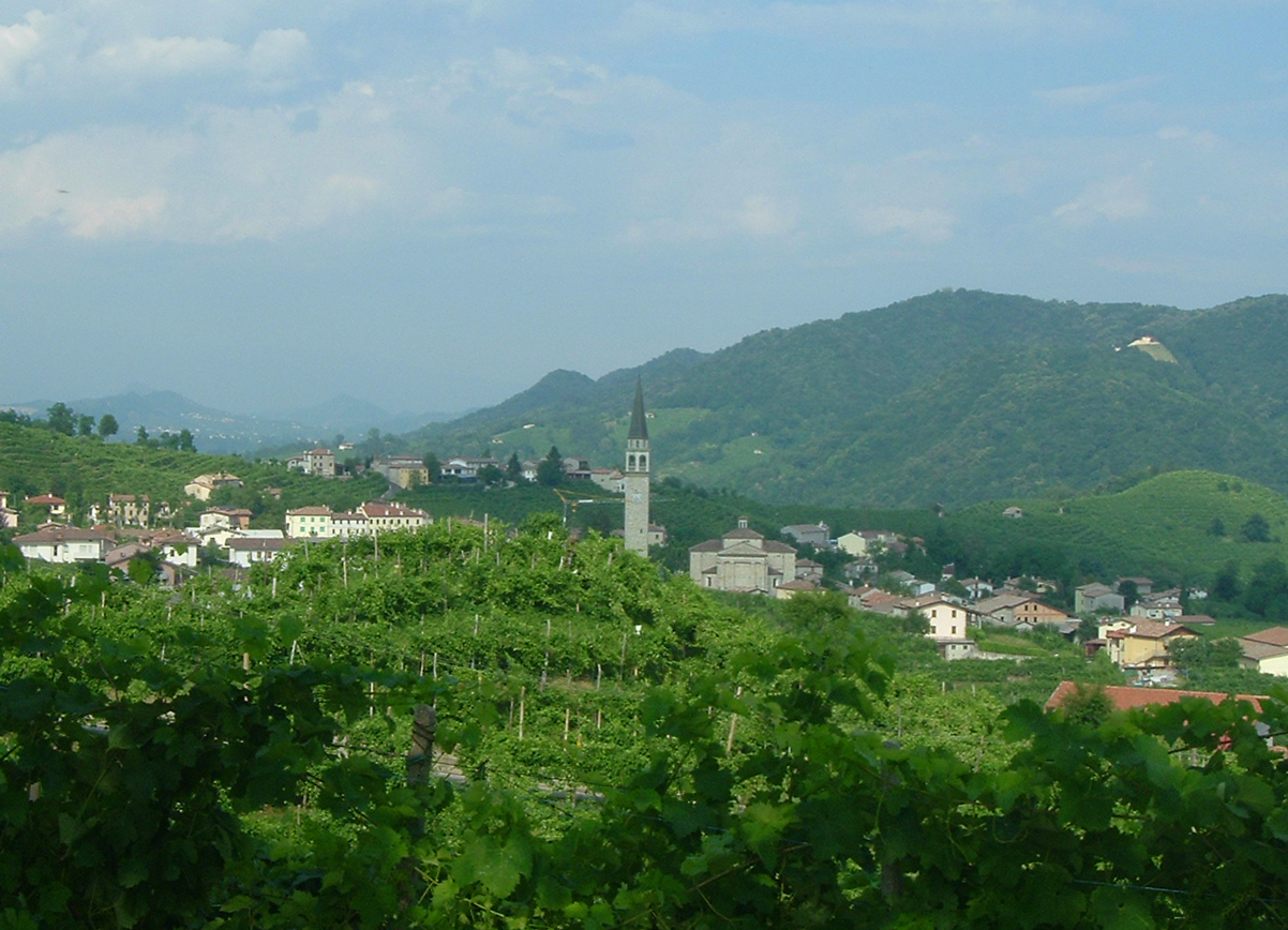 Vinogradi prosecca u Valdobbiadeneu, regija Veneto