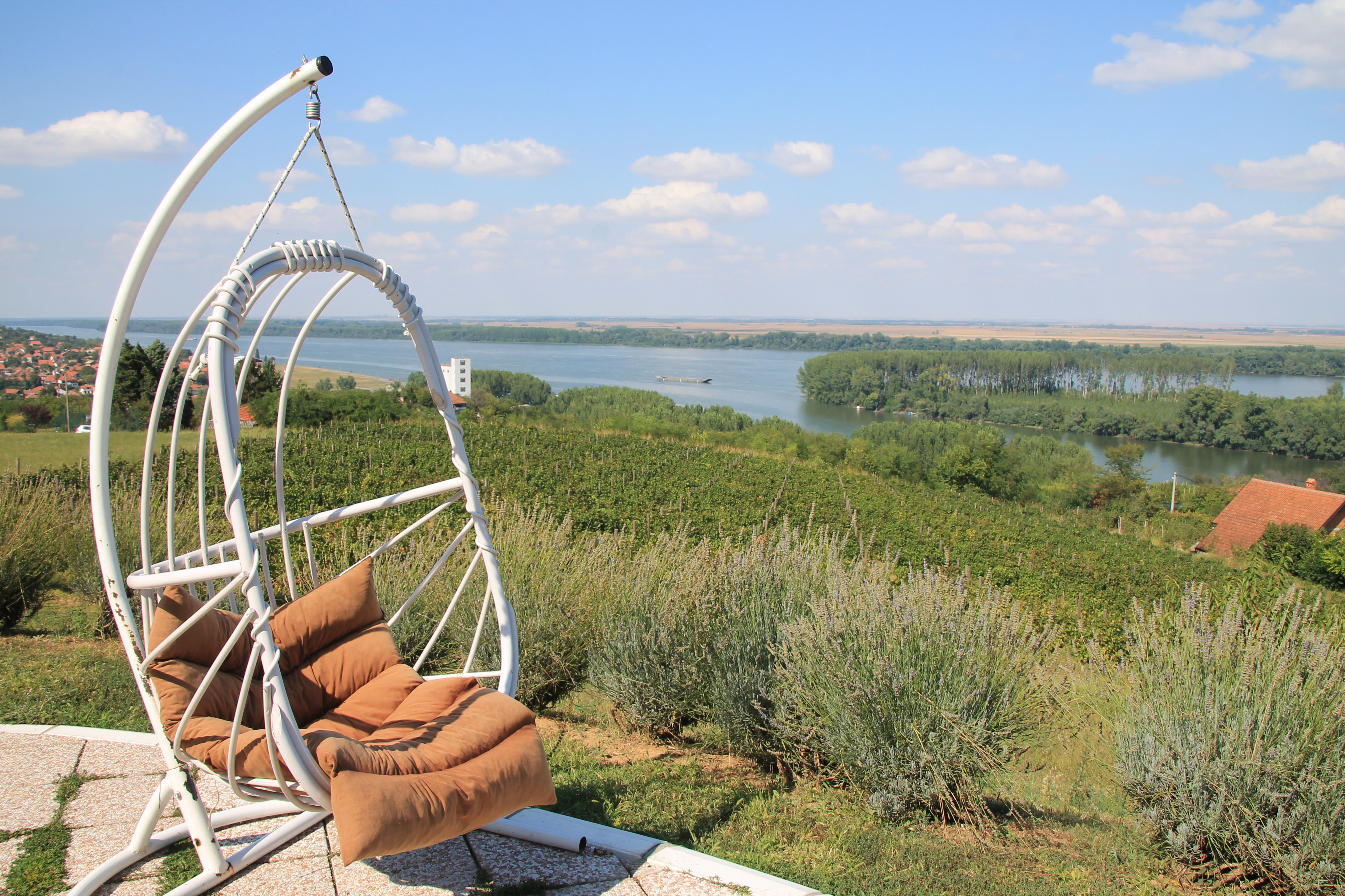 Vinogradi u Grockoj, Šumadija — srpski vinogradarski predeli