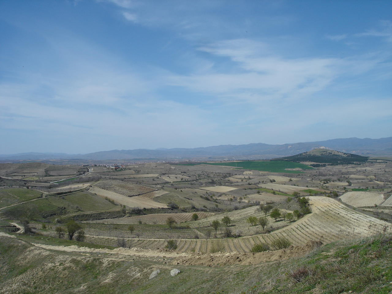 Pogled na vinogorje Tikveš u Severnoj Makedoniji, region odakle potiču Luda Mara vina