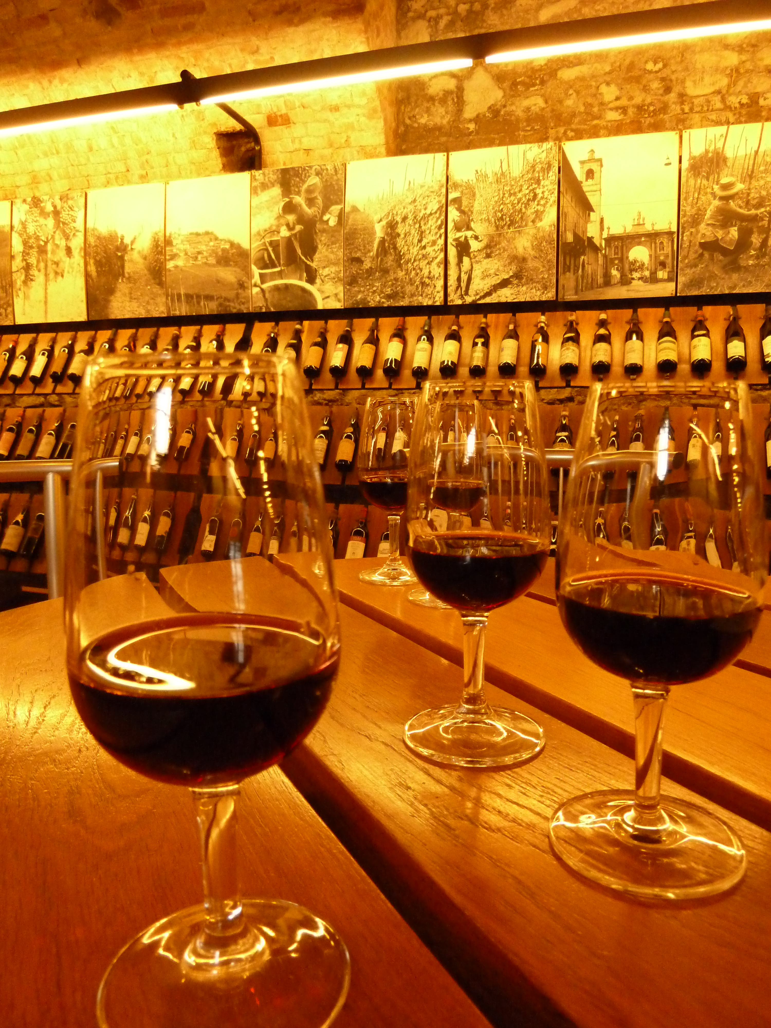 Wine tasting at a regional wine shop