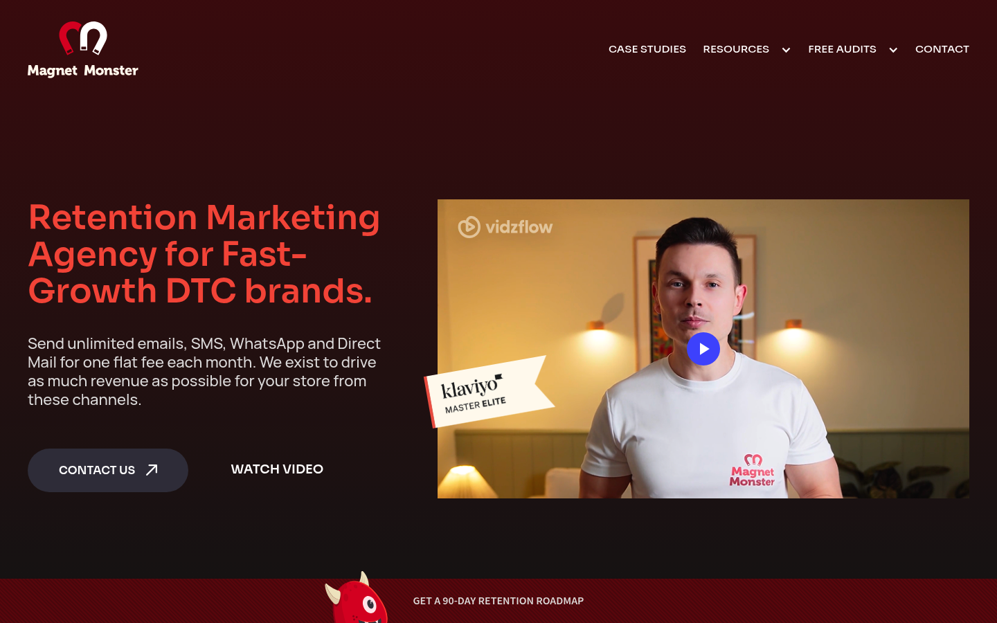 Magnet Monster agency homepage showing its marketing offer
